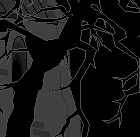 Kein Katzengejammer !!!